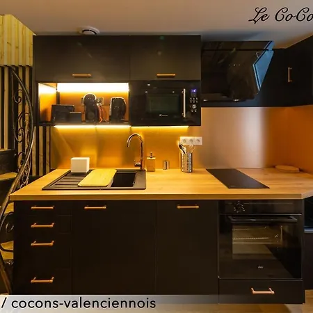 Le Cocon De La Cour Apartment